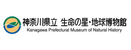 神奈川県立　生命の星・地球博物館