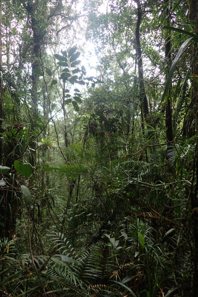 生物多様性