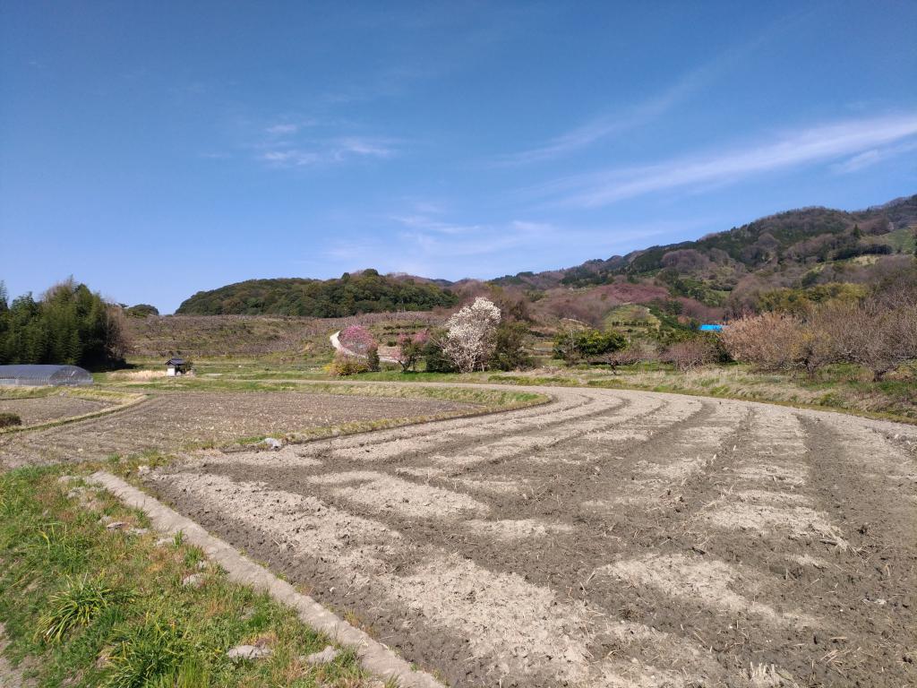里山の風景