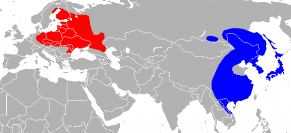 タヌキ分布図