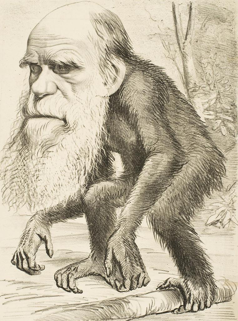 ダーウィン風刺画