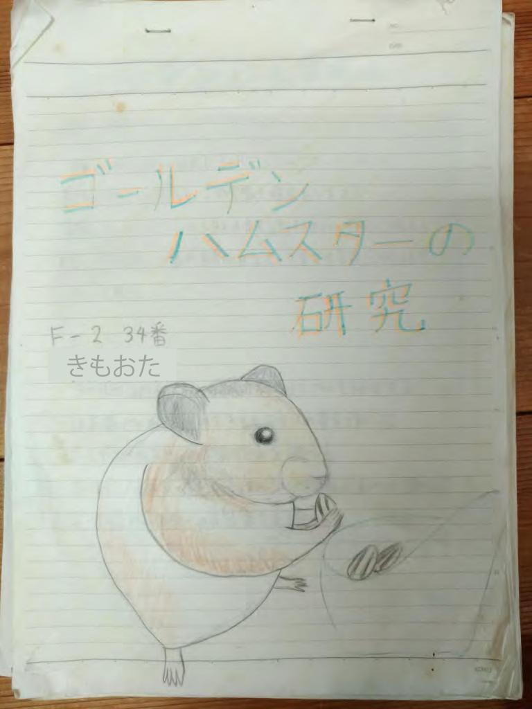 ゴールデンハムスターの研究