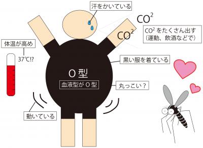 蚊に好かれる人