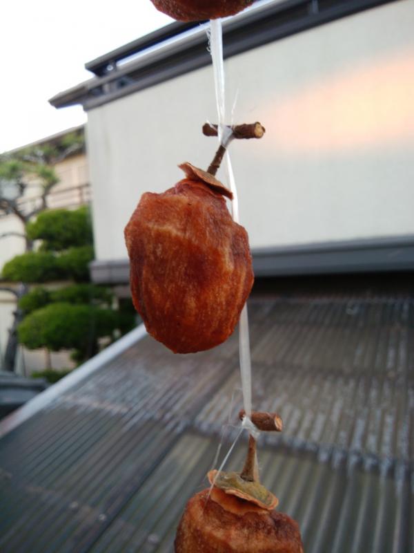 柿