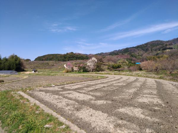 田園風景