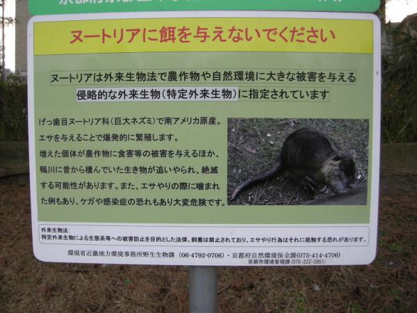 ヌートリア