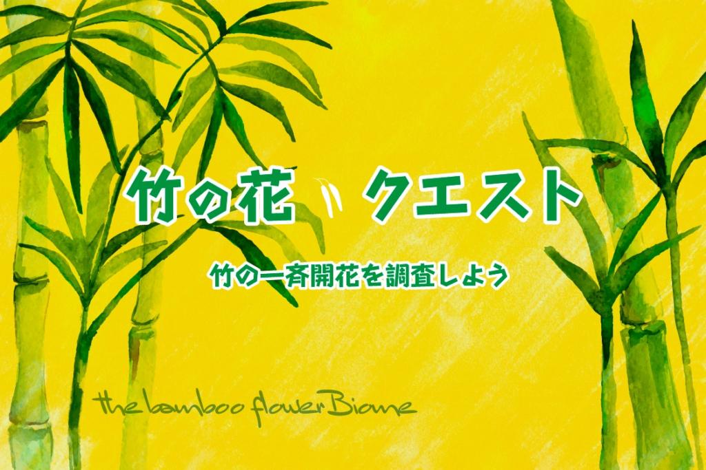 120年に一度？竹の「一斉開花」現象