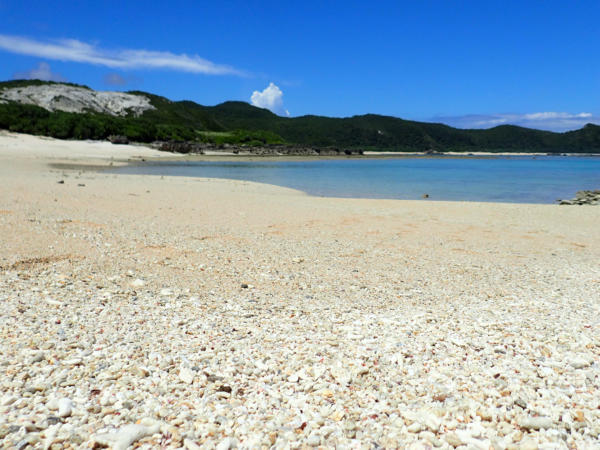 美しい海岸