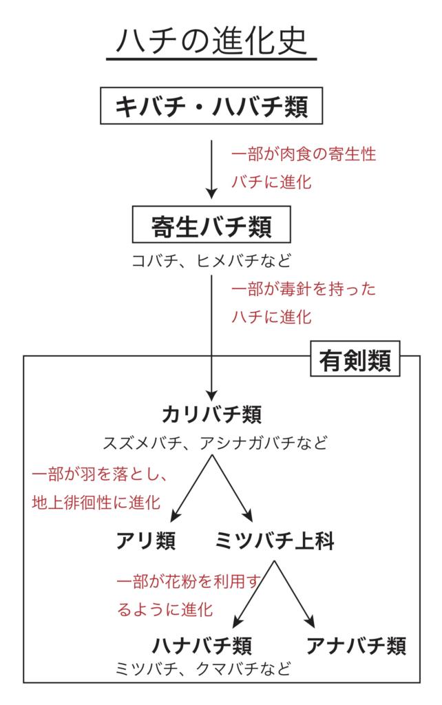 ハチの進化史