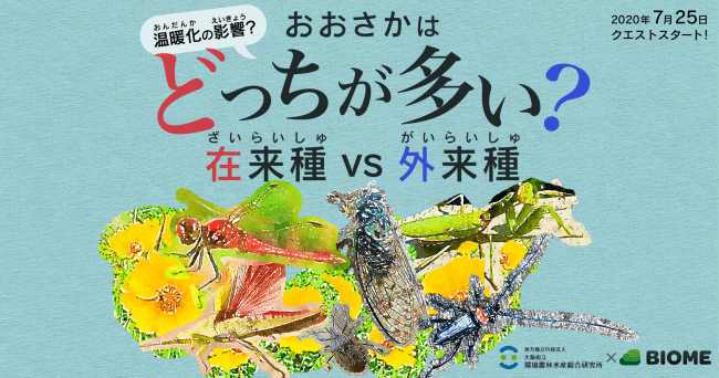 通称おおさかクエスト、中間報告です！