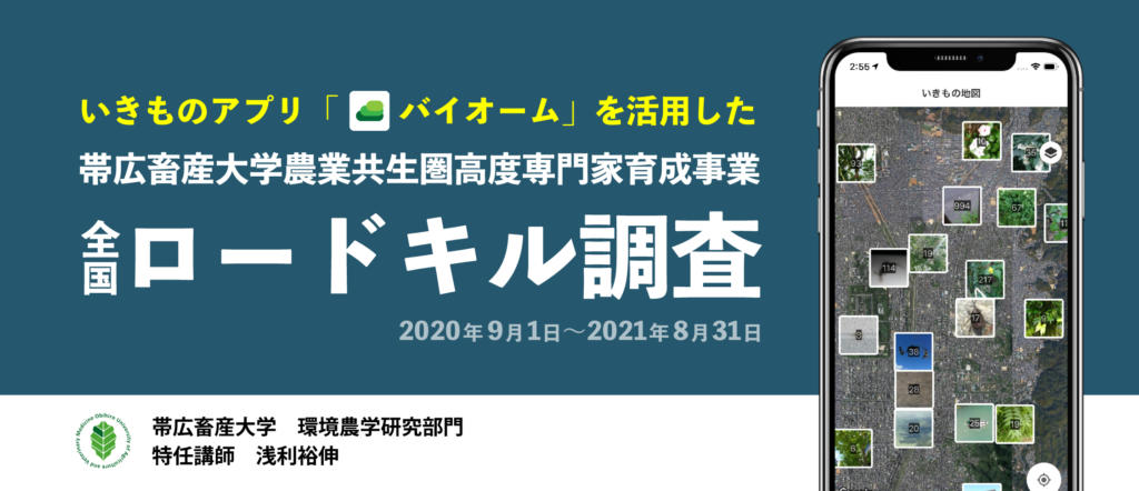 「全国ロードキル調査」を開始しました