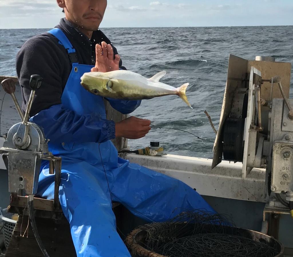 ふぐ延縄漁