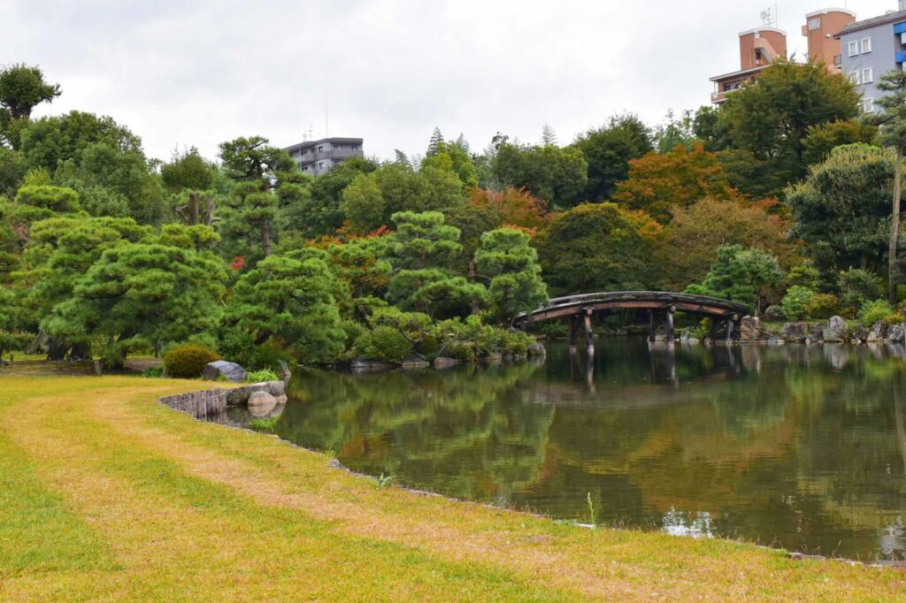 芝生