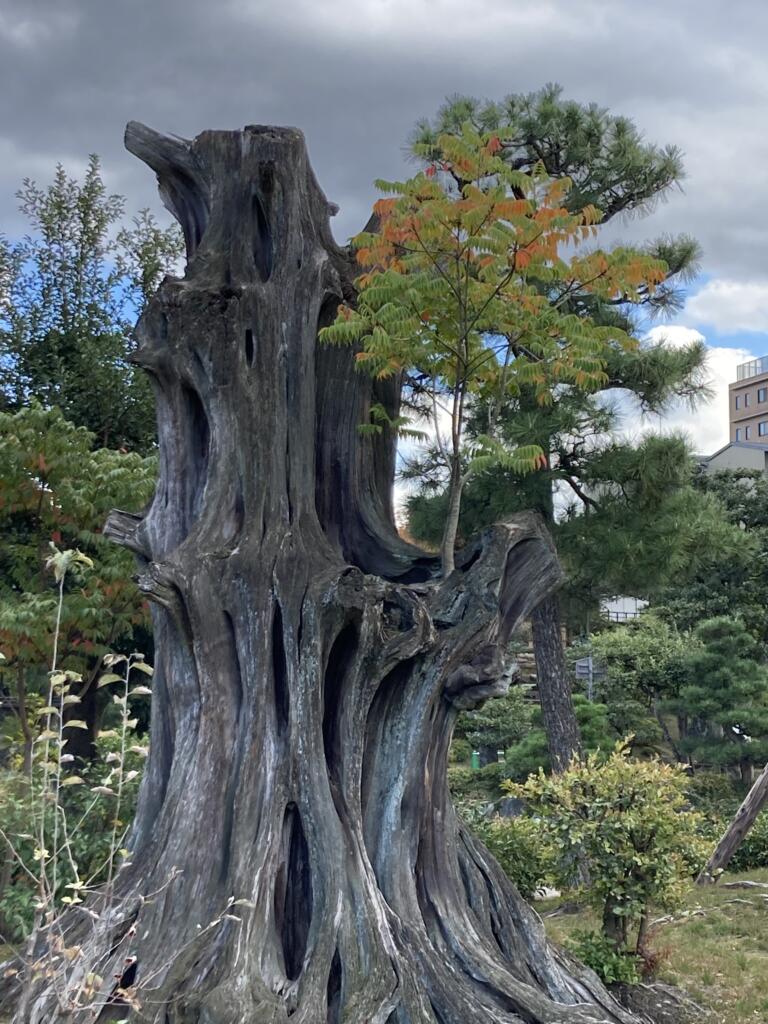 イブキ