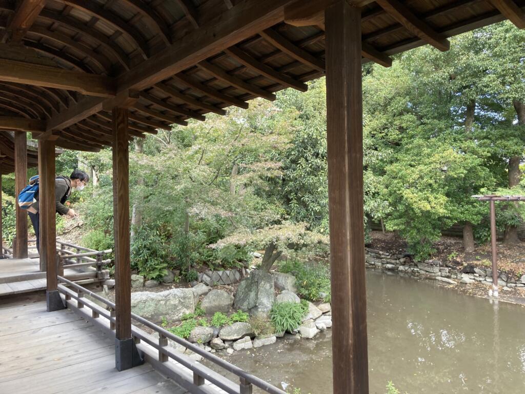 おや