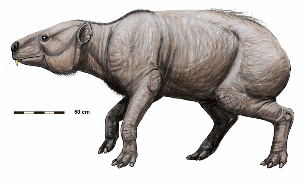 Titanohyrax