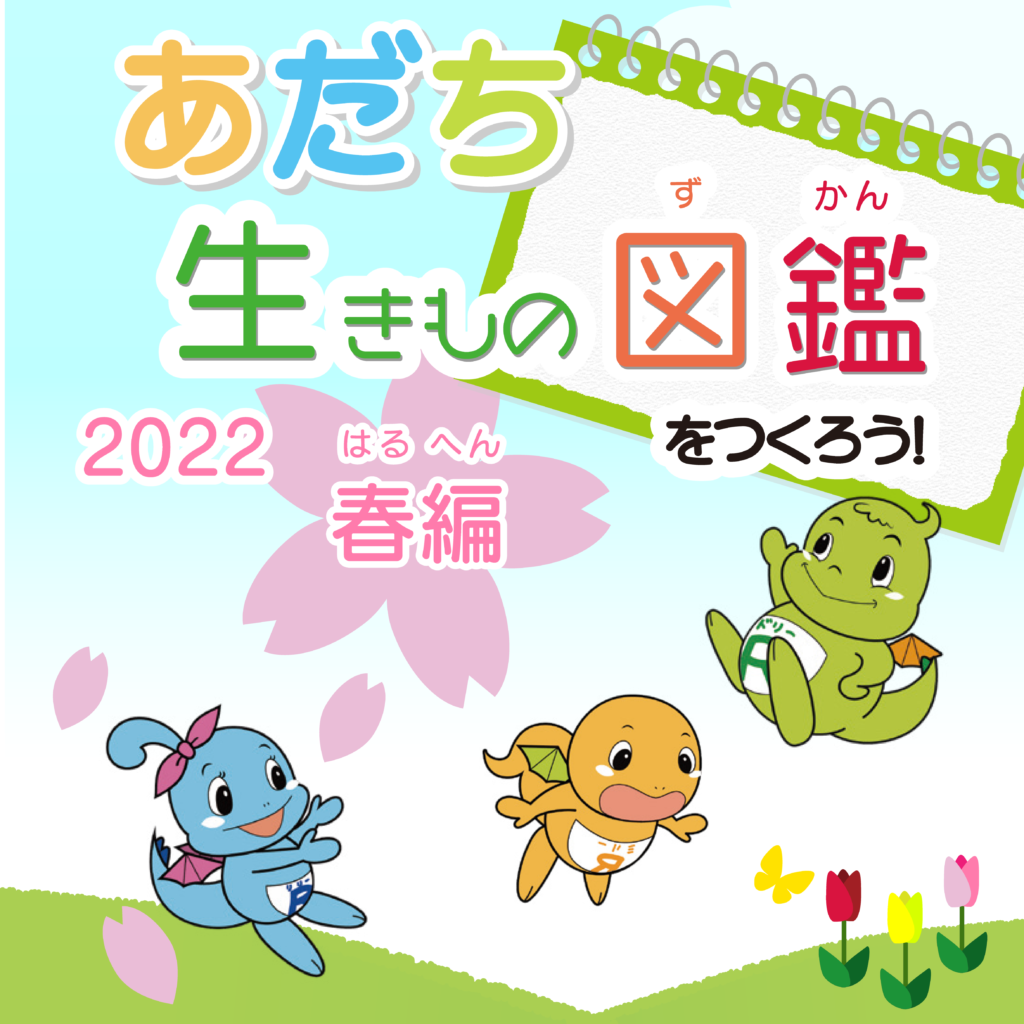 今度は春編！足立区とのコラボクエストがスタート！