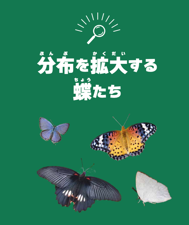 分布を拡大する蝶たち