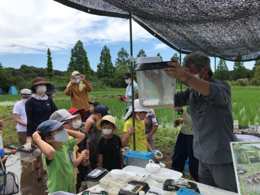 【イベント情報】さいたま市の田んぼでバイオームを使った生き物探しイベント開催！