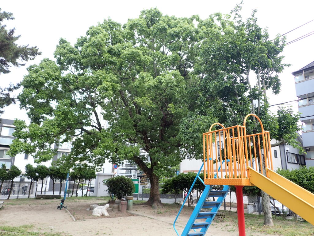 公園
