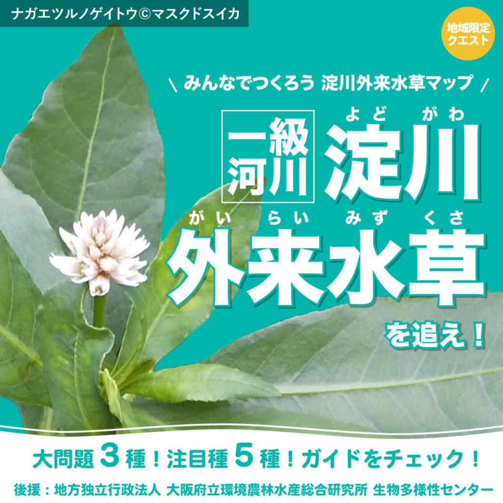 【建設技術研究所×バイオーム】あなたの参加が淀川を救う！外来水草クエスト第2弾