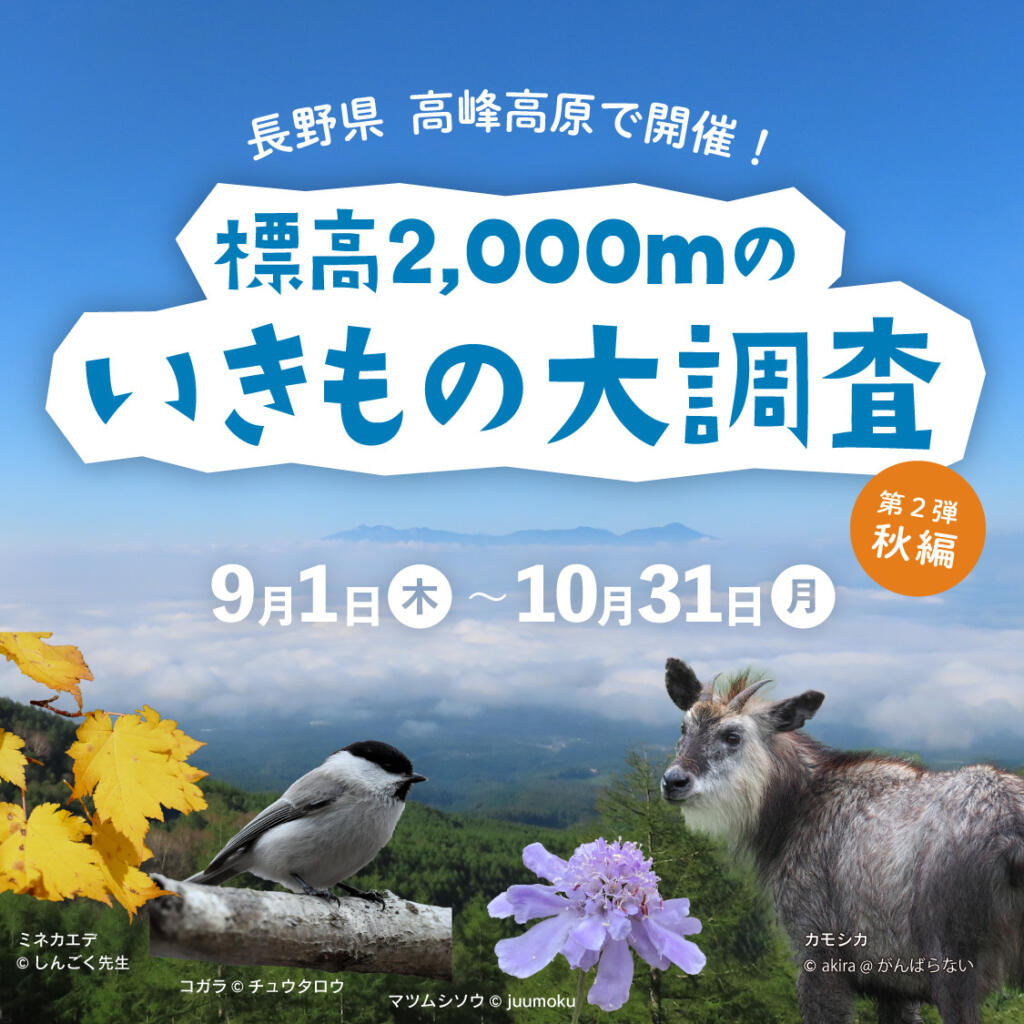 【高峰高原×バイオーム】高山のいきものを対象としたクエストがスタート！