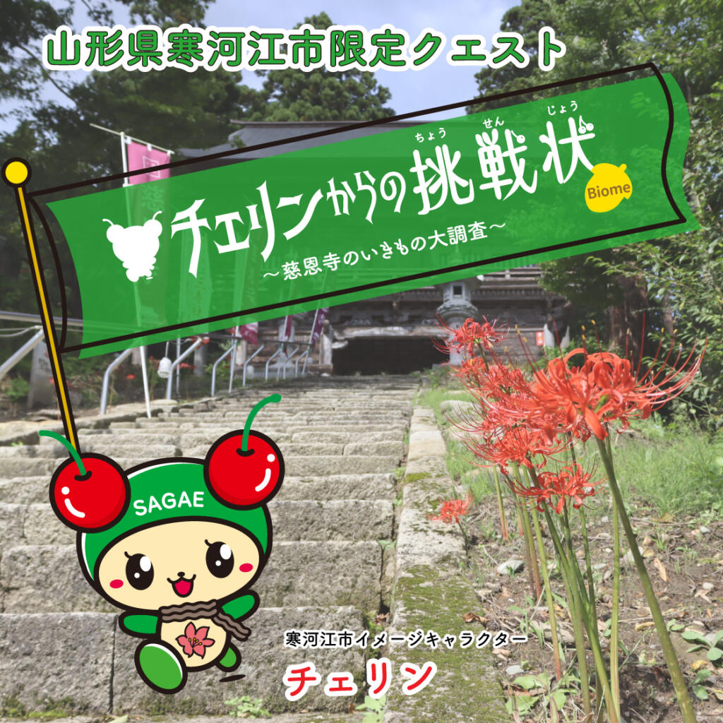ヘッダー