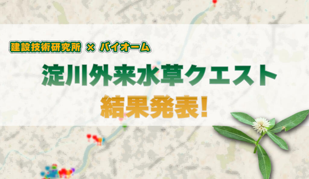 【建設技術研究所×バイオーム】淀川外来水草クエスト結果発表!