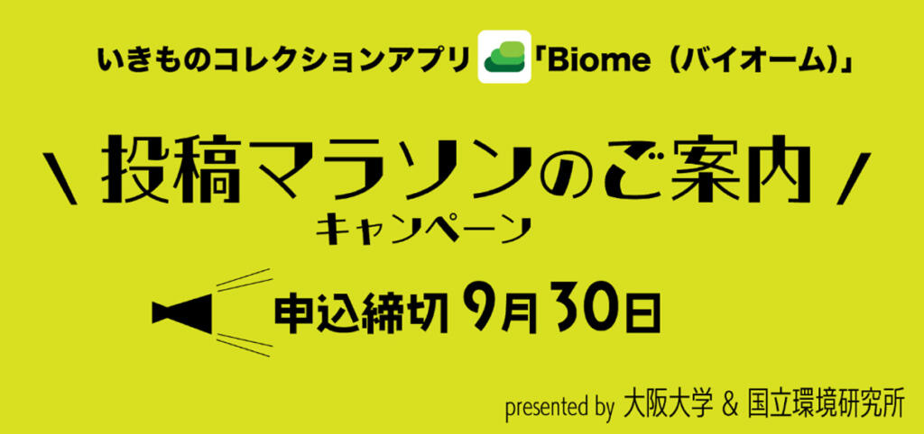 【ギフト券全員もらえる】投稿マラソン・キャンペーン参加者募集中！