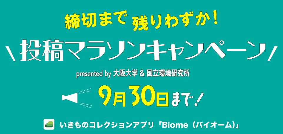 【投稿マラソン】参加者数1,000名の達成を目指しています！ By 大阪大学からのお知らせ