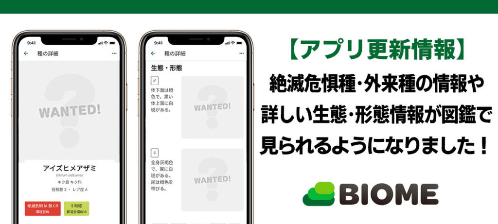 【アプリ更新情報】図鑑で絶滅危惧種・外来種の情報や詳しい生態・形態が見られるようになりました！