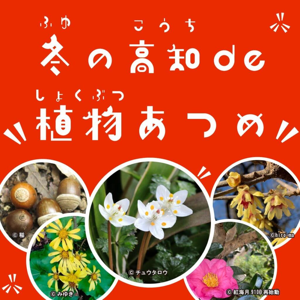 ヘッダー 