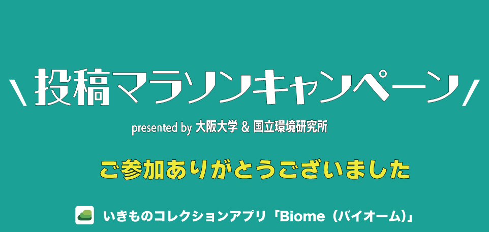【御礼】投稿マラソンに合計841名がご参加くださいました！By 大阪大学からのお知らせ