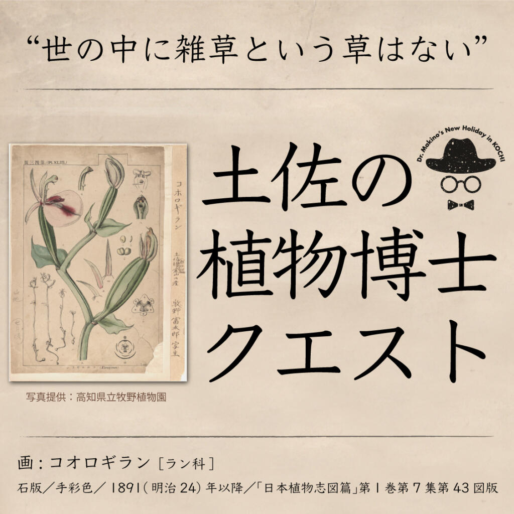 牧野博士のふるさと高知で、春の植物クエスト開催！🌸