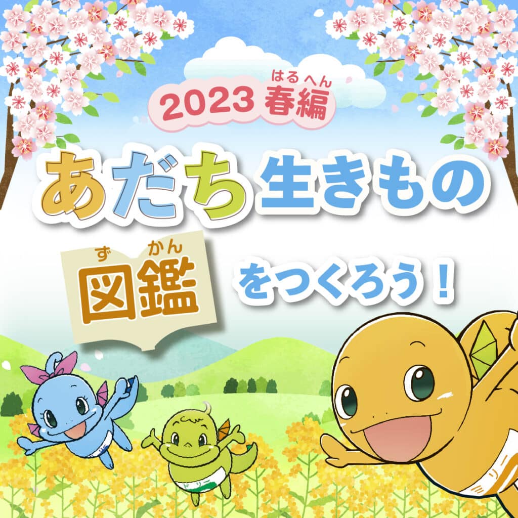 花のまち「あだち」で春の生きもの調査！