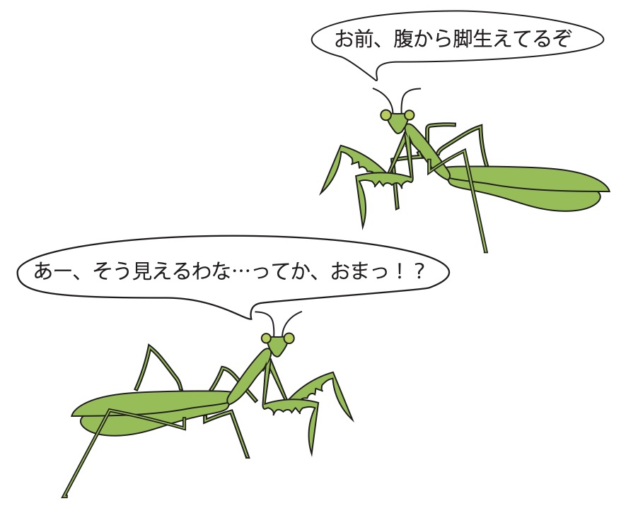 カマキリ