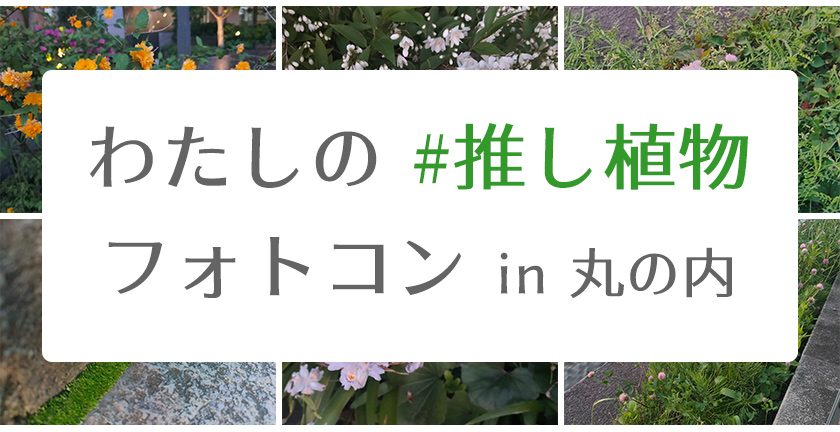 【竹中工務店×バイオーム】「わたしの #推し植物 フォトコン in 丸の内」を開催！