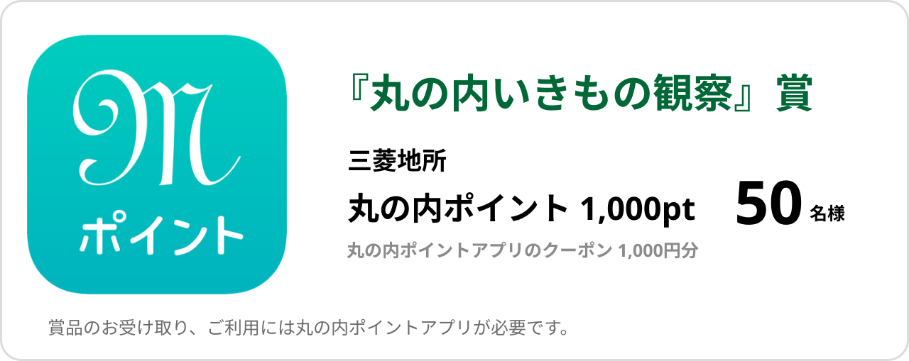丸の内いきもの観察賞