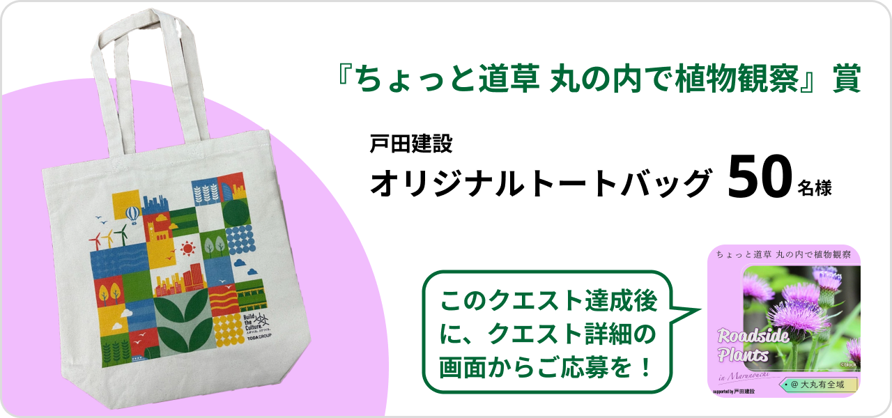 ちょっと道草 植物観察賞