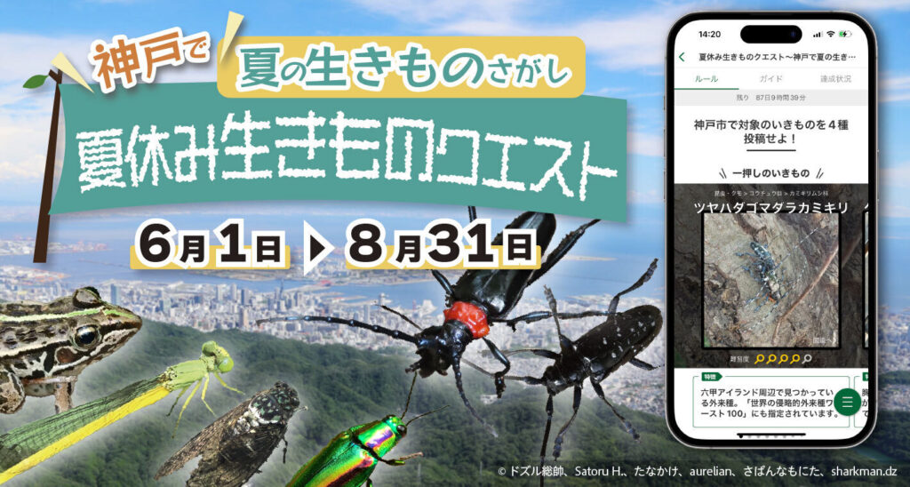 【神戸市×Biome】外来種も！在来種も！夏の生きものさがし