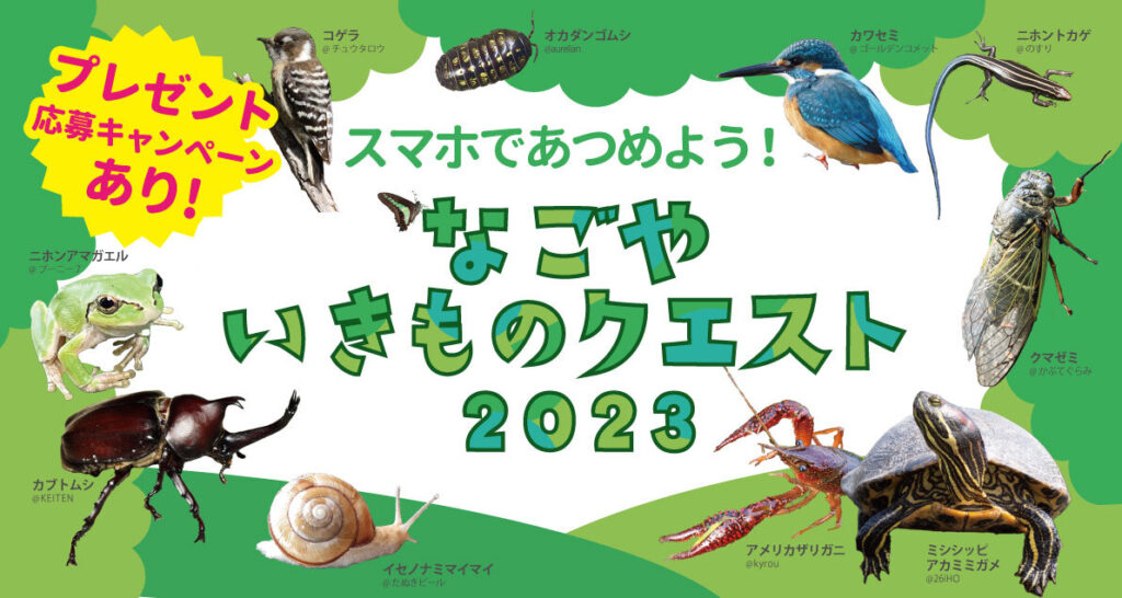 【名古屋市×バイオーム】なごやいきものクエスト2023がスタート！