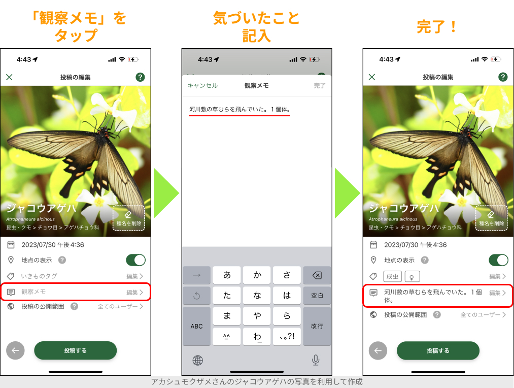 Biomeアプリの投稿に、いきもの観察メモを追加する方法