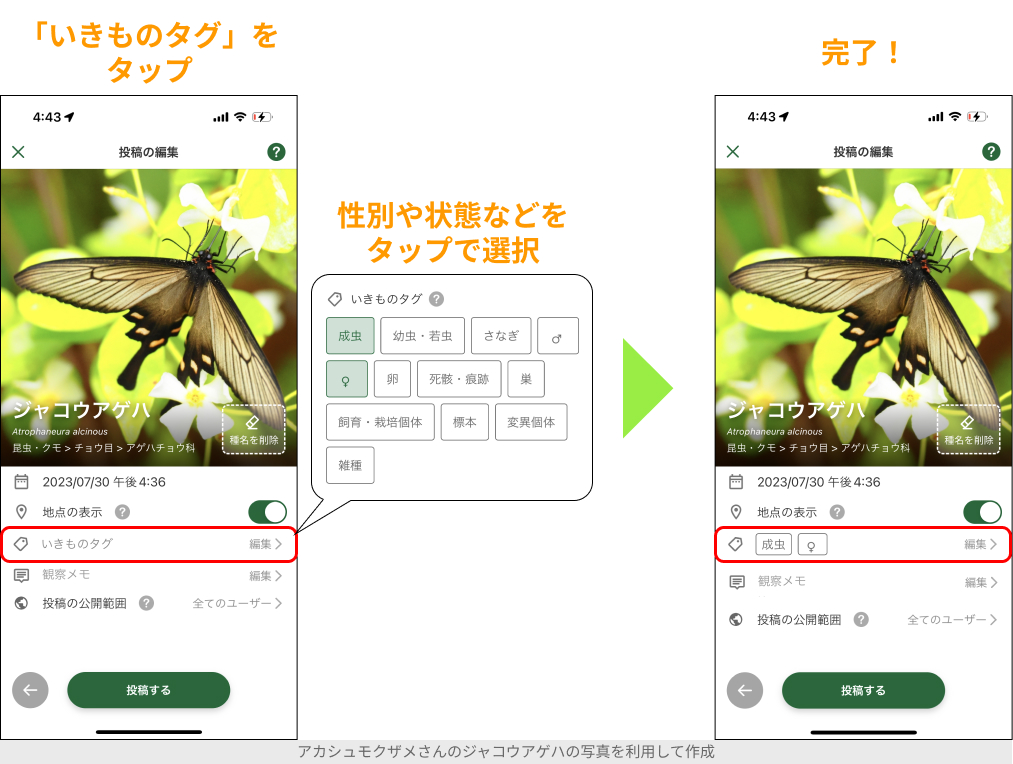 Biomeアプリの投稿に、いきものタグを追加する方法
