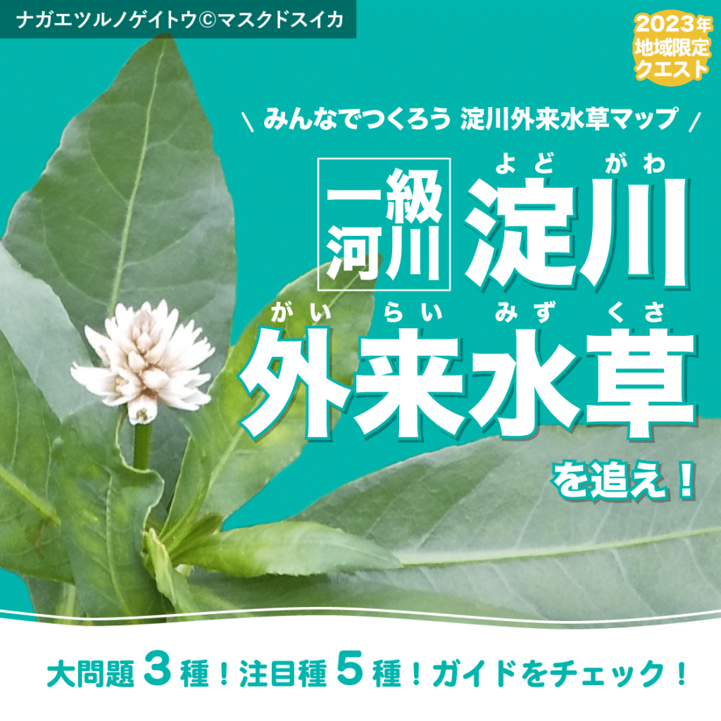 【建設技術研究所×バイオーム】今年もやります！外来水草クエスト第３弾