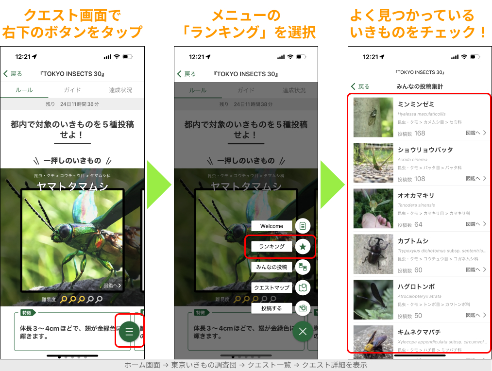 クエスト詳細画面でいきものランキングを表示する方法