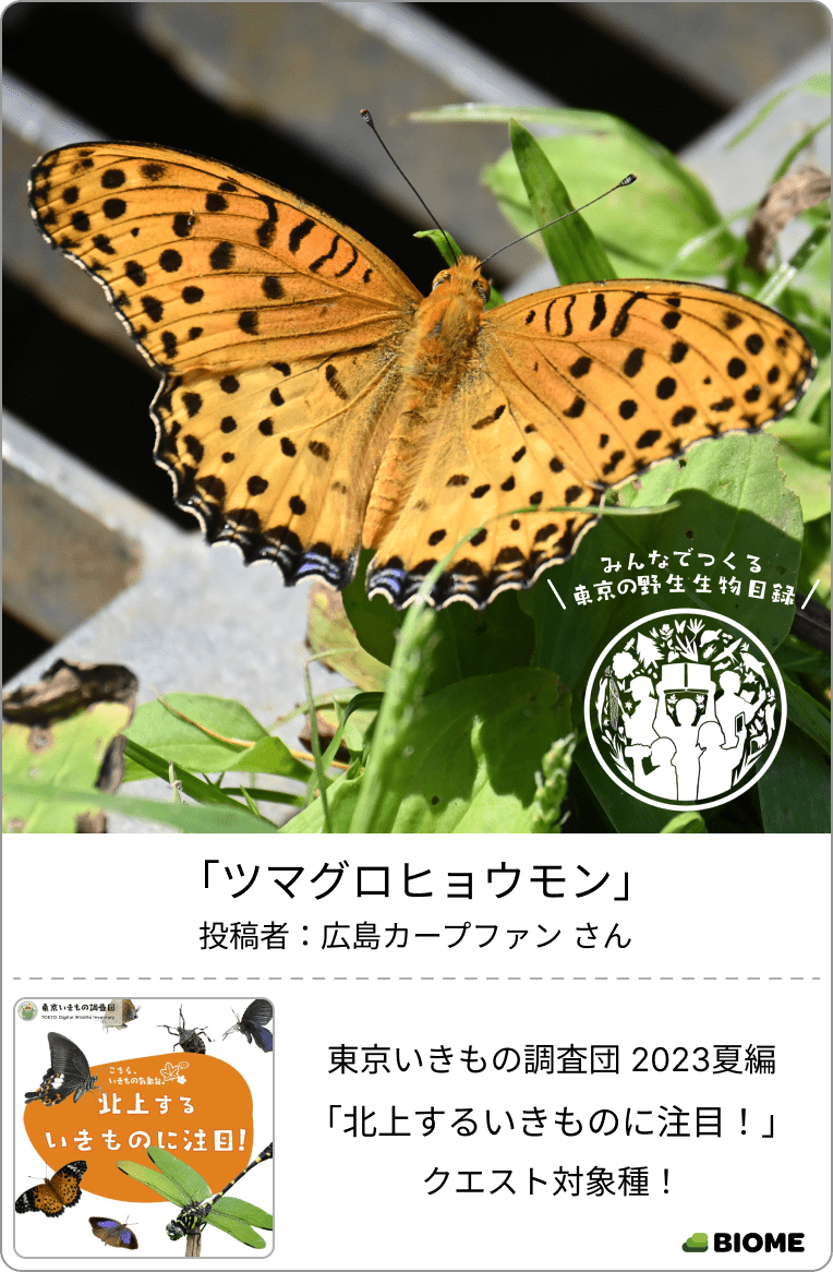 東京いきものギャラリー|東京いきもの調査団