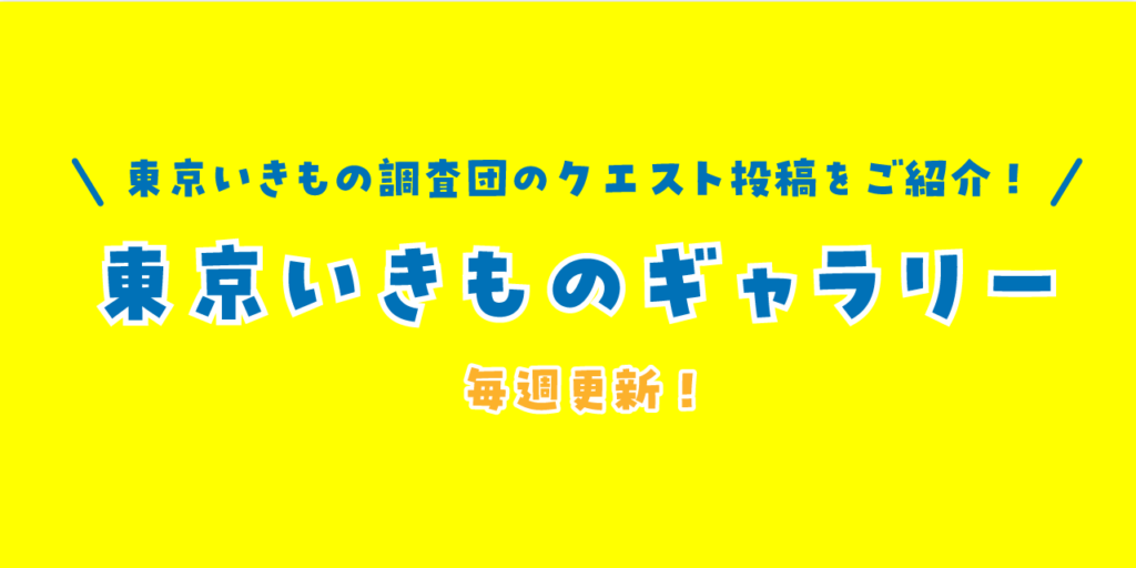 【東京いきものギャラリー】東京いきもの調査団の投稿をご紹介！