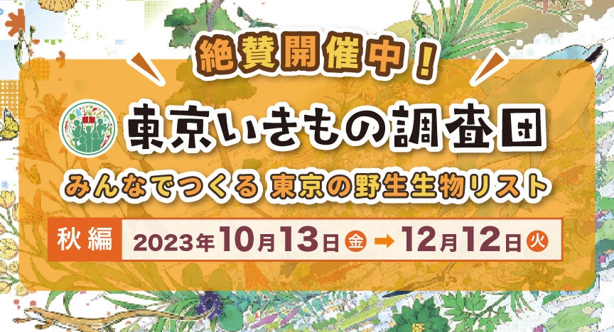 東京の野生生物リスト（野生生物目録）づくりに参加してみませんか？