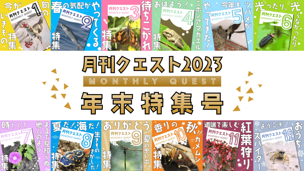 2023月替りクエスト年末特集号