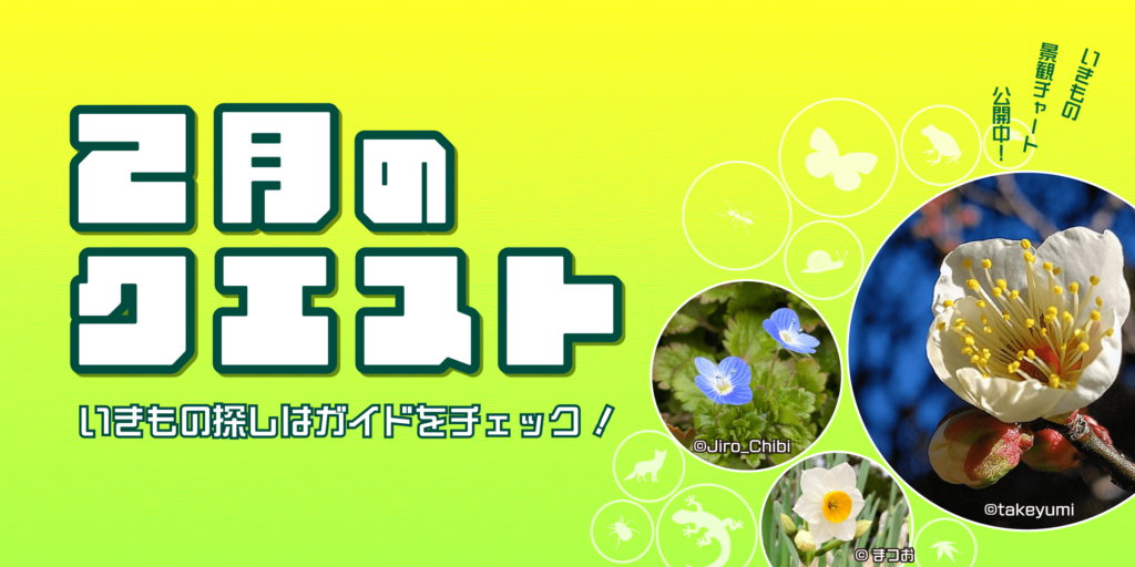 2024年2月のクエスト一覧